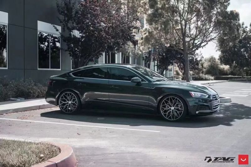 VOSSEN 5.jpg